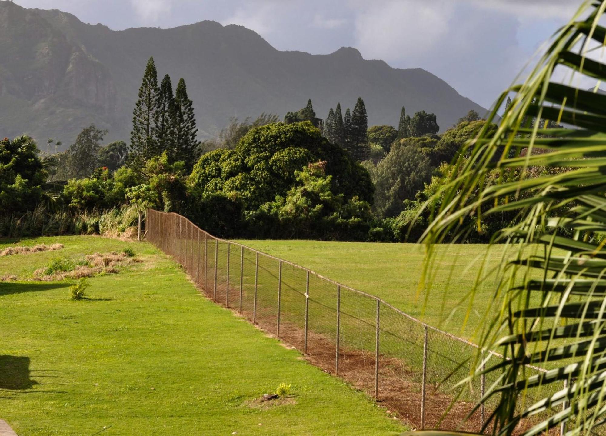 Kauai Palms Hotel Лихуэ Номер фото