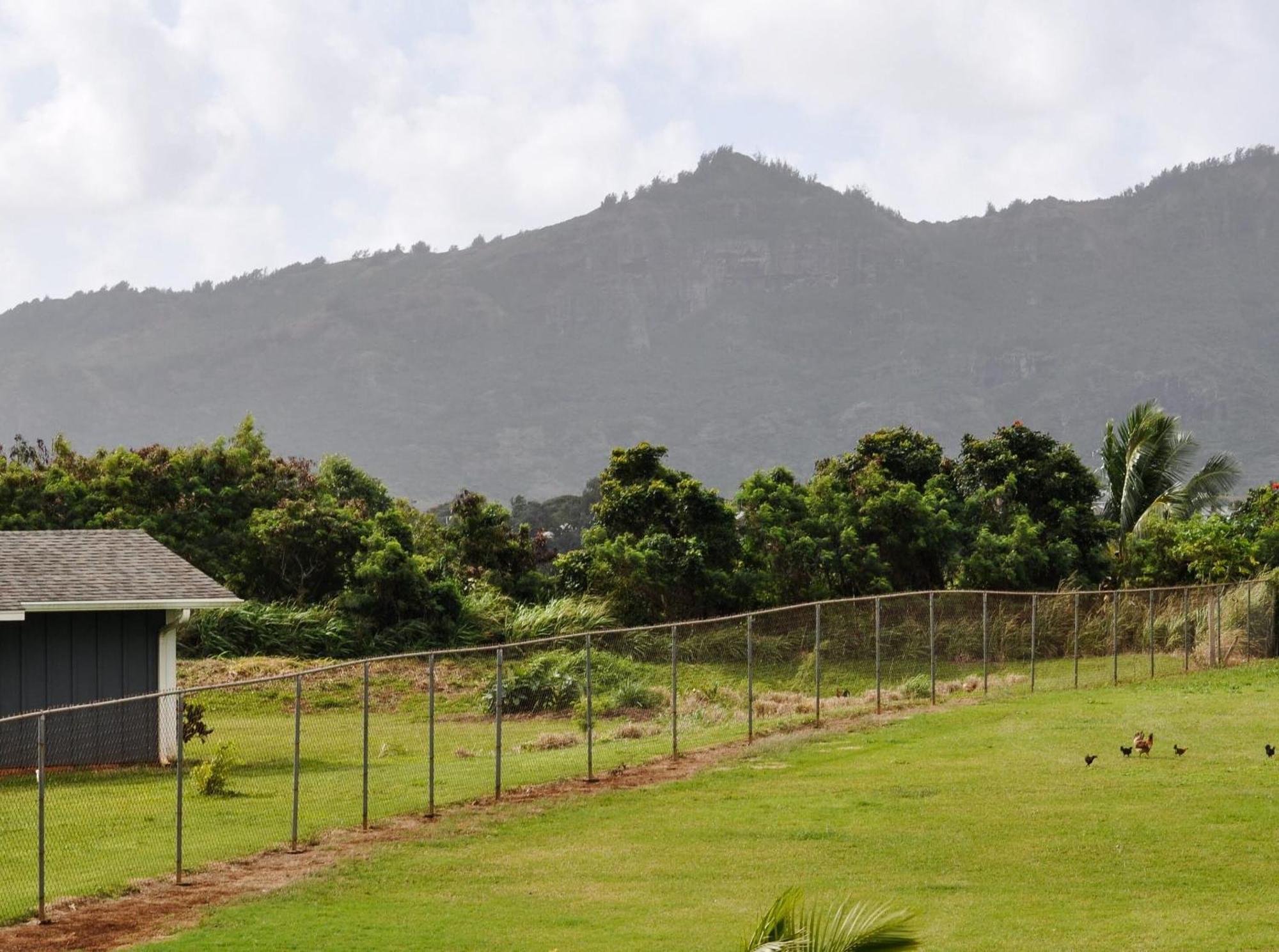 Kauai Palms Hotel Лихуэ Номер фото